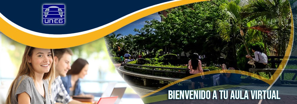 Bienvenidos unegvirtual